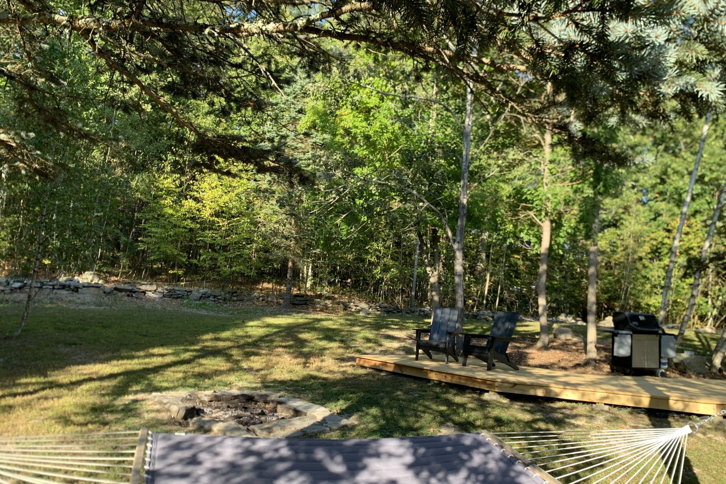 View from the hammock.
