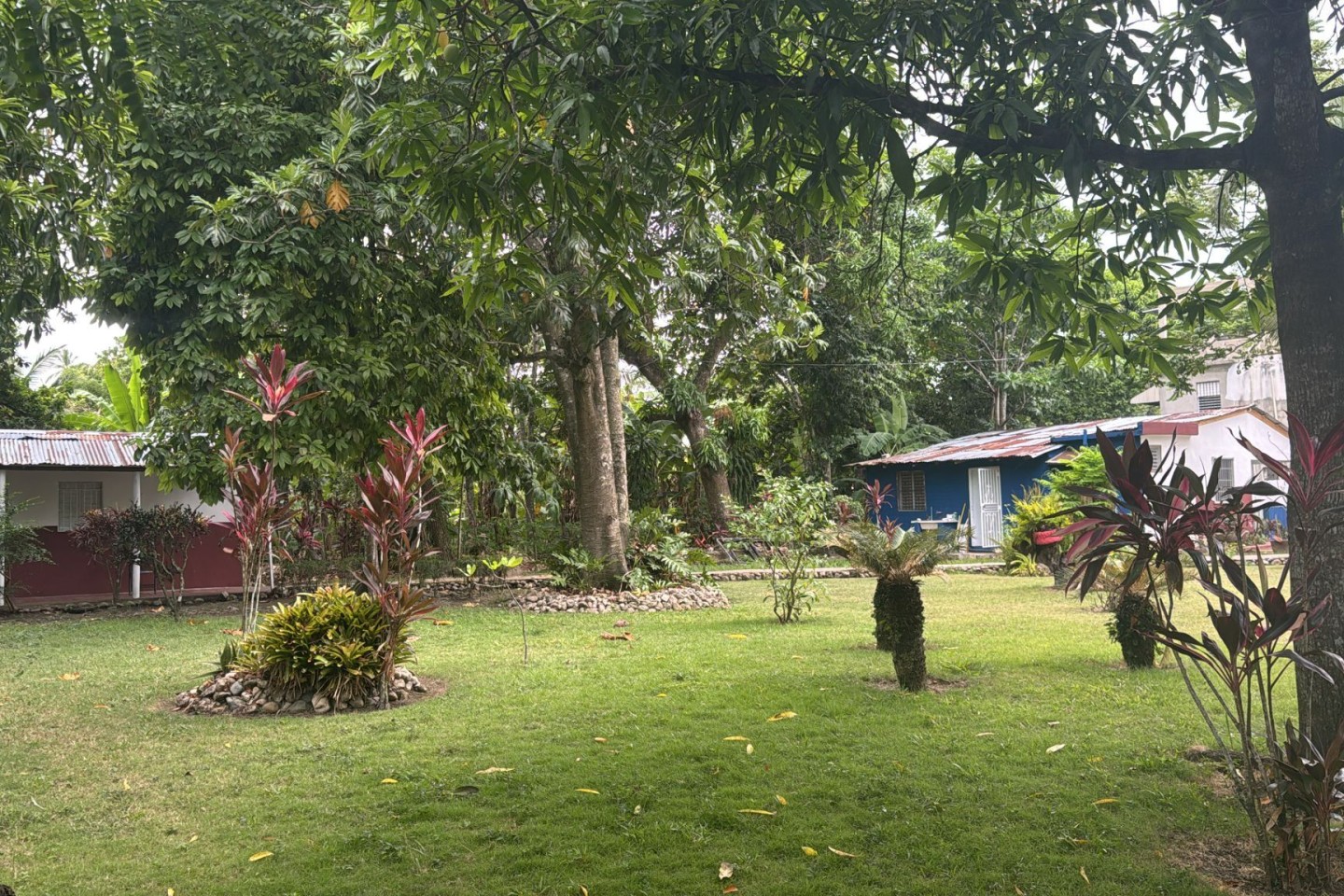 Yard
