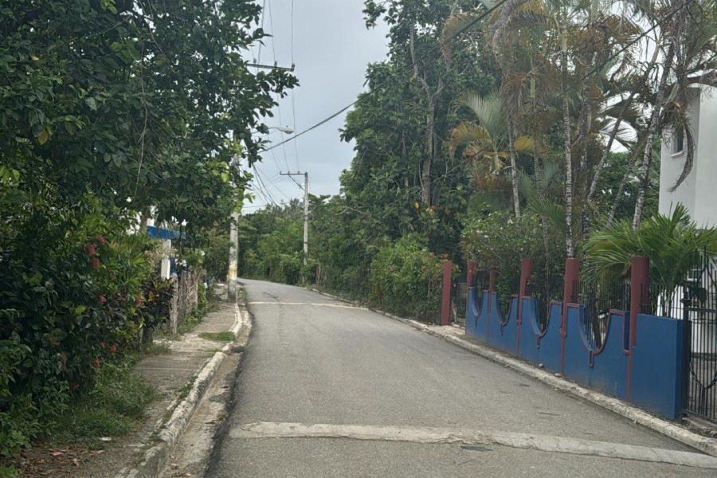 Street next to the house