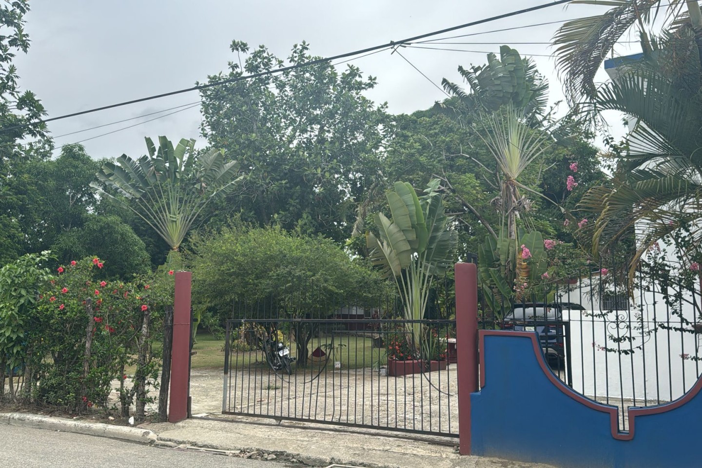 Back gate