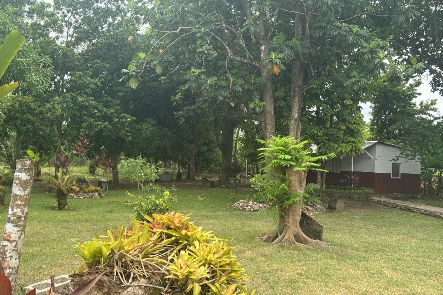 Yard